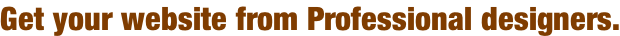 Get your website from Professional designers.